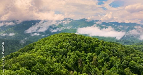 Smoky mountains summer woods. Appalachian mountains in North Carolina with fresh green forest trees in summertime rainy season. Beauty of USA nature.