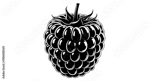 Blackberry Silhouette Icon - Fresh Berry Vector Art
