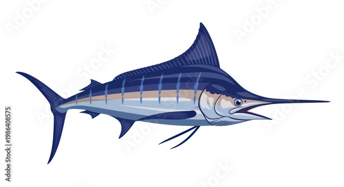 Blue Marlin Fish Illustration - Ocean Predator, Sport Fishing