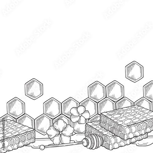 Hand-drawn graphic composition with honeycombs, field flowers and honey dipper for packaging, product design, cosmetic or food