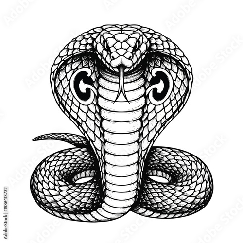 Detailed illustration of a cobra snake head and coiled body.