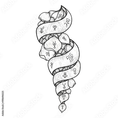 Mystical Scroll with Esoteric Symbols and Natural Elements.