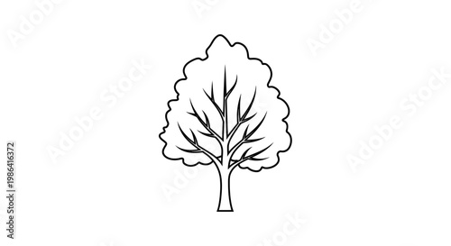 Tree illustration with detailed branches.