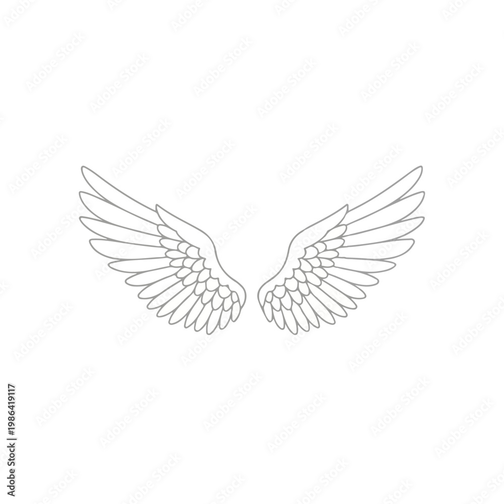 Fototapeta premium Wings Spread Symmetrical Wings