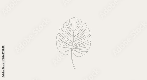 Minimalist Line Art Drawing of a Tropical Monstera Leaf on a Very Light Grey Background