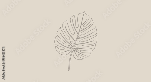 Minimalist Line Art Drawing of a Tropical Monstera Leaf on a Light Beige Background