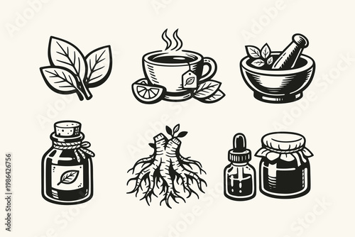 Herbal Medicine and Natural Wellness Icon Set