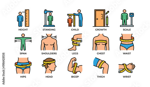 Body measurement icons: height, growth, span, waist, bicep
