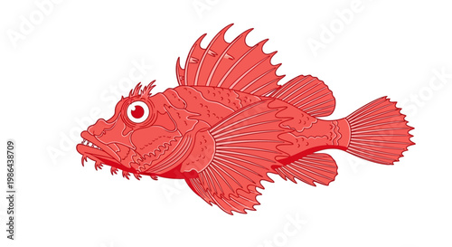 Fotografija Red Scorpionfish Illustration Isolated on White Background