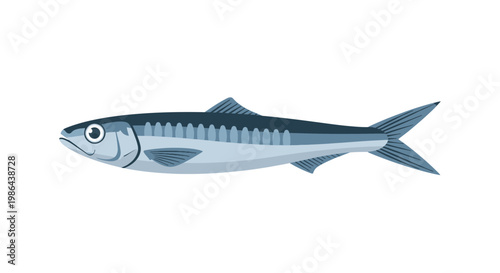 Sardine Fish Illustration, Isolated on White Background, Seafood Ingredient