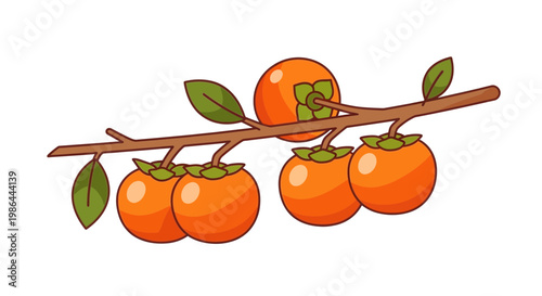 Fresh Persimmons on Branch - Ripe Orange Fruit with Green Leaves, Isolated