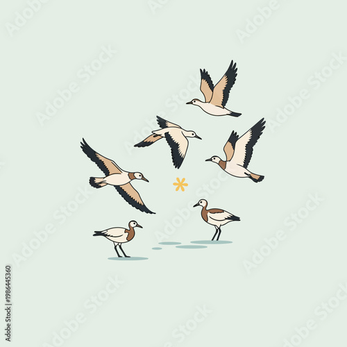 Minimalist vector illustration of migratory birds in various poses including flying and standing, featuring a flock of avian species with tan, white, and black plumage on a plain background.