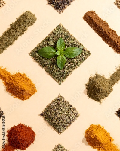 Assortment of Dried Herbs and Spices Arranged in Geometric Patterns