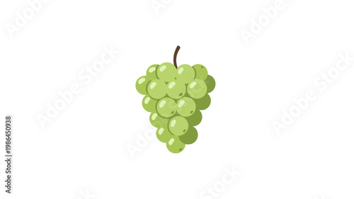 Green grapes bunch on stem.