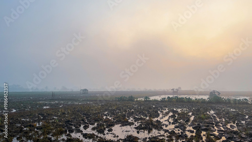 Misty Wetland Landscape with Soft Sunrise Light