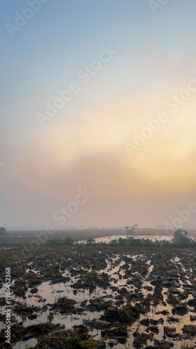 Misty Wetland Landscape with Soft Sunrise Light