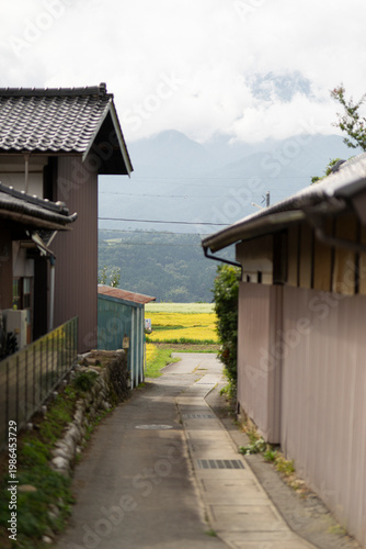 住宅街の路地裏から見える田んぼ