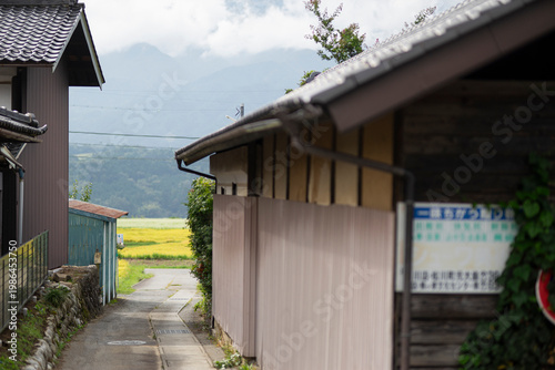 住宅街の路地裏から見える田んぼ