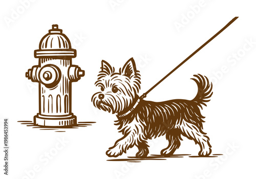 Yorkshire Terrier Dog hand drawn simple sketch vector illustration