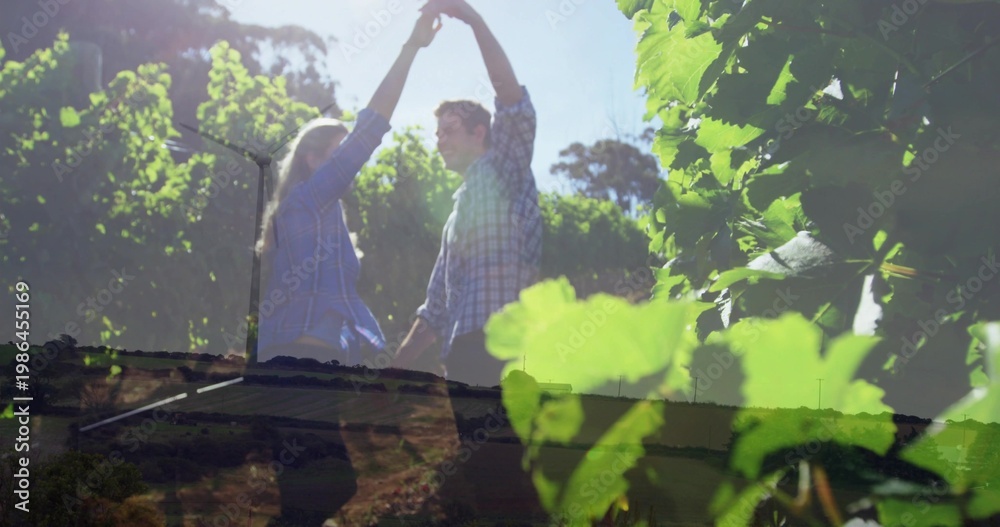 Obraz premium Sun flare sparking couple holding hands, twirling, dancing among vine rows, grape leaves, mic stand