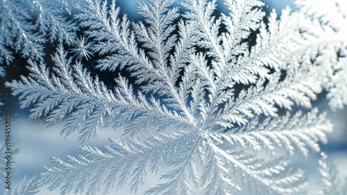 Extreme macro close-up of intricate frost patterns and ice crystals forming on a cold glass window surface during winter with a blurred snowy landscape in the background.