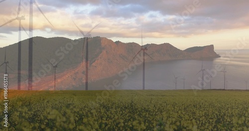 Framing coastal ridge with wind turbines, flowering field stretching to calm sea under pastel sky