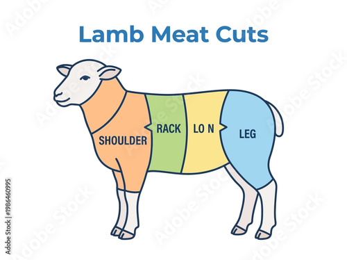 Diagram illustrating the different cuts of lamb meat, including shoulder, rack, loin, and leg