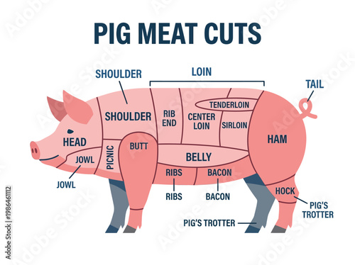 An illustrated diagram detailing various cuts of pork meat from a pig