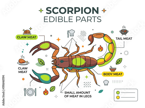 Edible Parts of a Scorpion Illustrated Guide Discovering the Culinary Aspects of Arachnids
