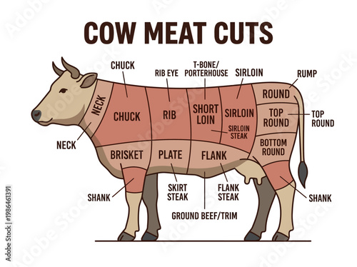 Diagram illustrating various cuts of beef with labels indicating specific primal and sub-primal cuts for butcher and culinary reference