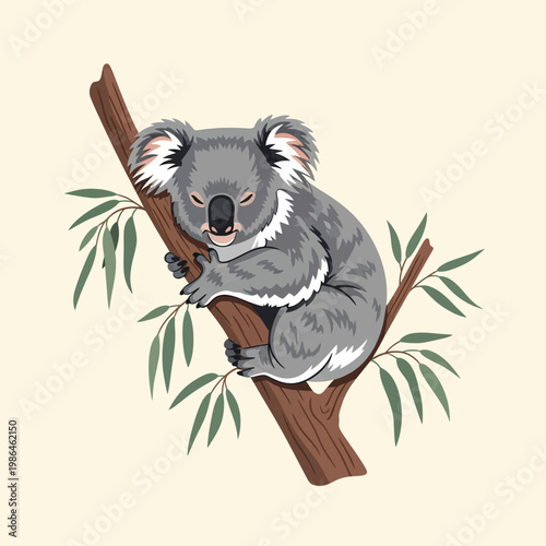 Detailed vector illustration of a grey koala bear resting and clinging to a brown eucalyptus tree branch with green leaves, isolated on a light background, Australian marsupial wildlife.