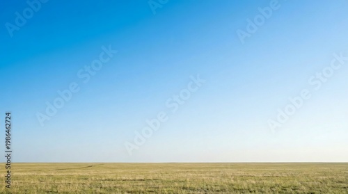 Expansive blue sky over a sunlit golden grass field with horizon line, landscape