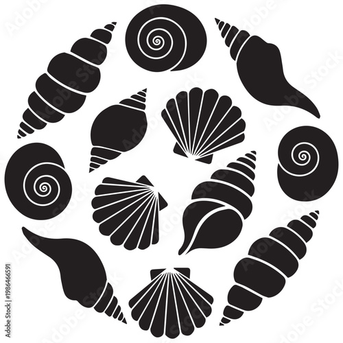 Collection of diverse seashells and conch shells arranged in a circular pattern on white background