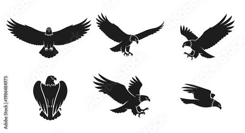 Dynamic Flying Eagle Silhouettes Set Majestic Predator Bird Vector Illustrations in Diverse Poses for Design Projects and Branding