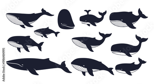 A diverse collection of stylized whales swimming and diving, showcasing various species of large marine mammals in a modern flat graphic illustration style for ocean wildlife concepts