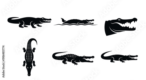 Collection of stylized black and white vector illustrations depicting alligators in various poses and perspectives, showcasing their iconic features