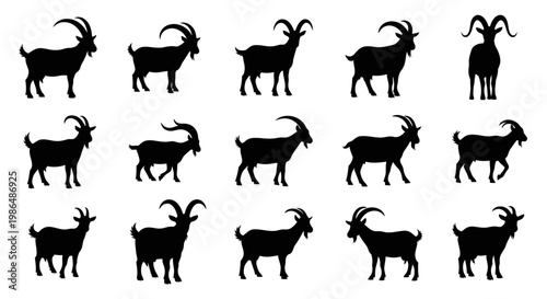Collection of diverse pig silhouettes, including full body poses and expressive head icons, perfect for farm animal branding, agricultural themes, and rural design projects