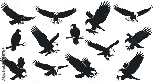 Collection of Silhouette Eagle Graphics with Various Poses and Flying Motions