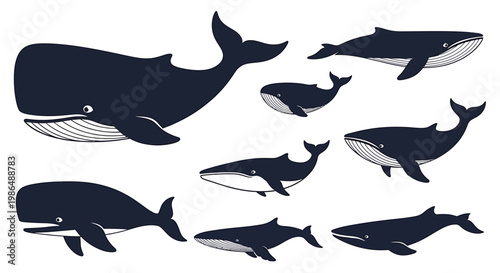 A captivating collection of diverse ocean whales, showcasing various sizes and dynamic poses of these magnificent marine mammals in an illustrative style