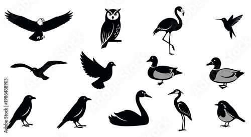 Collection of Silhouettes of Various Birds including an Eagle, Owl, Flamingo, Swan, Duck, Hummingbird, Crow, and Dove