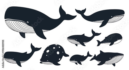 Diverse collection of whale silhouettes showcasing various marine mammals in different sizes and poses, ideal for ocean-themed designs, aquatic wildlife illustrations, and environmental conservation