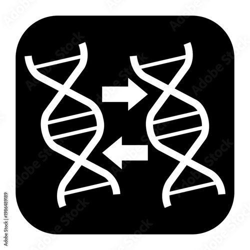 duplicate Solid icon