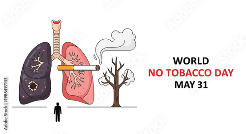 Lungs contrasted with a cigarette and dying tree for no tobacco day