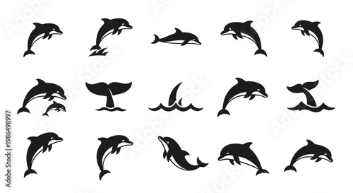 Collection of Silhouettes of Dolphins in Various Poses and Movements