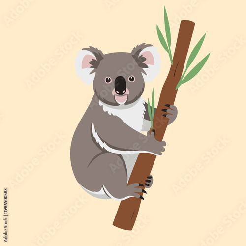 Detailed vector illustration of an Australian koala with grey fur and white ears clinging to a brown eucalyptus tree branch with green leaves on a solid beige background.