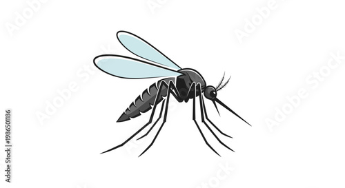 Illustration of a mosquito, a flying insect known for its bite and disease transmission, isolated on a white background