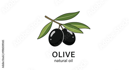 Fresh branch with ripe black olives and green leaves promoting the use of natural olive oil for a healthy Mediterranean diet and culinary excellence.