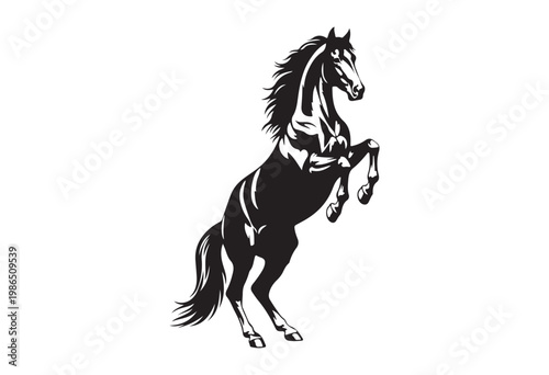 Jumping horse isolated on white background