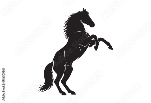 Jumping horse isolated on white background