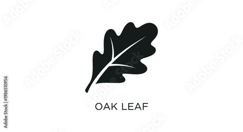 This minimalist vector graphic illustration features a stylized black oak leaf, representing nature, strength, and environmental themes for various creative design applications.